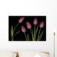 Pink Tulips Wall Mural