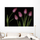Pink Tulips Wall Mural