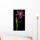 Tulip Petals About To Fall Off Wall Mural