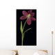 Tulip Petals About To Fall Off Wall Mural