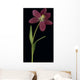 Tulip Petals About To Fall Off Wall Mural