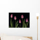Pink Tulips Wall Mural