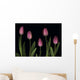 Pink Tulips Wall Mural
