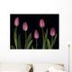 Pink Tulips Wall Mural