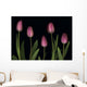 Pink Tulips Wall Mural
