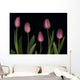 Pink Tulips Wall Mural