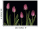 Pink Tulips Wall Mural