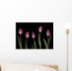 Pink Tulips Wall Mural
