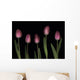 Pink Tulips Wall Mural