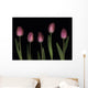 Pink Tulips Wall Mural