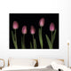 Pink Tulips Wall Mural
