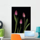 Pink Tulips Wall Mural