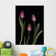 Pink Tulips Wall Mural