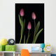Pink Tulips Wall Mural
