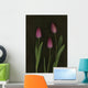 Pink Tulips Wall Mural