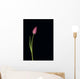 Pink Tulip Wall Mural