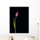 Pink Tulip Wall Mural