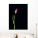 Pink Tulip Wall Mural