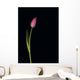 Pink Tulip Wall Mural