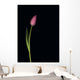 Pink Tulip Wall Mural