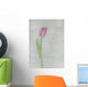Pink Tulip Wall Mural