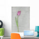 Pink Tulip Wall Mural
