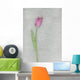Pink Tulip Wall Mural