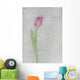 Pink Tulip Wall Mural