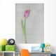 Pink Tulip Wall Mural