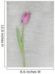 Pink Tulip Wall Mural