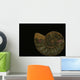 Fossilized Sea And Marine Shells Or Nautilus Wall Mural