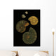 Fossilized Sea And Marine Shells Or Nautilus Wall Mural