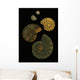 Fossilized Sea And Marine Shells Or Nautilus Wall Mural