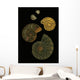 Fossilized Sea And Marine Shells Or Nautilus Wall Mural