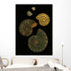 Fossilized Sea And Marine Shells Or Nautilus Wall Mural