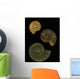Fossilized Sea And Marine Shells Or Nautilus Wall Mural