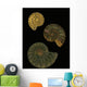 Fossilized Sea And Marine Shells Or Nautilus Wall Mural
