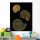 Fossilized Sea And Marine Shells Or Nautilus Wall Mural