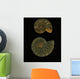 Fossilized Sea And Marine Shells Or Nautilus Wall Mural
