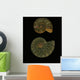 Fossilized Sea And Marine Shells Or Nautilus Wall Mural