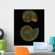 Fossilized Sea And Marine Shells Or Nautilus Wall Mural