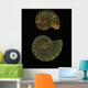 Fossilized Sea And Marine Shells Or Nautilus Wall Mural
