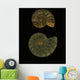Fossilized Sea And Marine Shells Or Nautilus Wall Mural