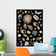 Various Sea Shells Wall Mural