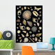 Various Sea Shells Wall Mural