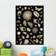 Various Sea Shells Wall Mural