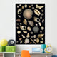 Various Sea Shells Wall Mural