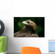 Golden Eagle's Face Wall Mural
