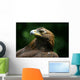 Golden Eagle's Face Wall Mural