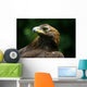 Golden Eagle's Face Wall Mural